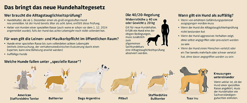 Hundehaltegesetz neu: Was ab Dezember gilt