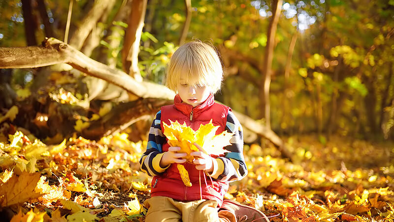 Nach der Flut: So wird der Garten herbstfit!