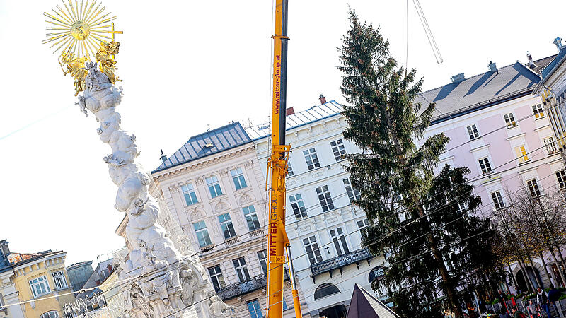 Wie Der Weihnachtsbaum Auf Den Linzer Hauptplatz Kommt | Nachrichten.at