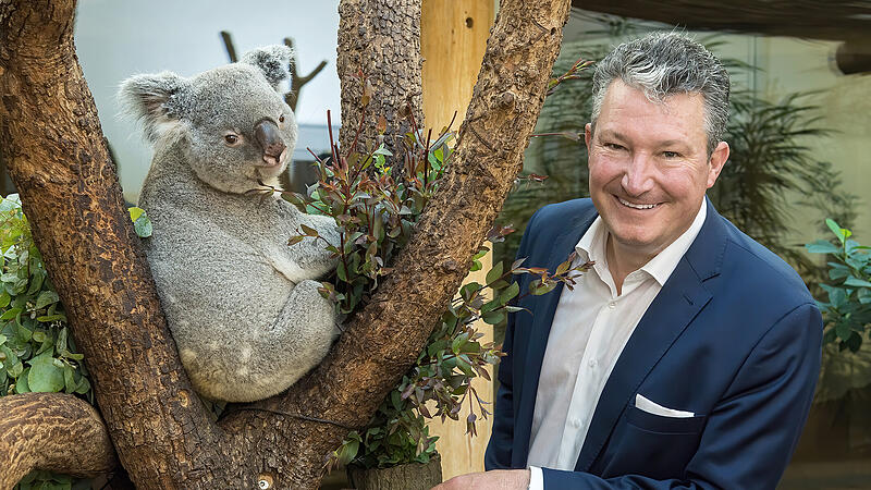 Größtes Bauprojekt in der Geschichte des Tiergartens Schönbrunn