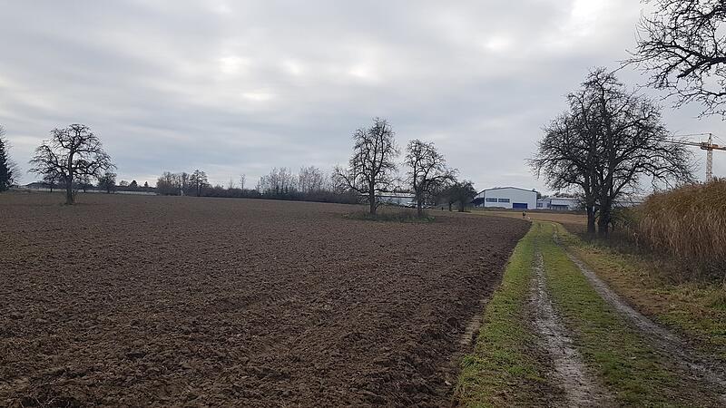 Riesiger Acker, dahinter die Pyhrnautobahn: Kaineder (Grüne) hält "Ernährungsgrundlage" wichtiger als Betriebsgebiet.