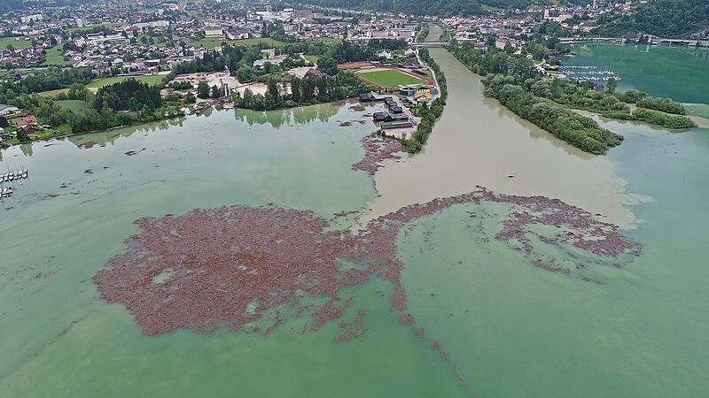 Schwemmholz auf dem Traunsee: Keiner fühlt sich verantwortlich