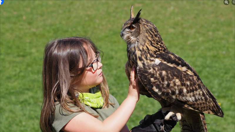 Begegnung mit dem Kauz: Der Greifvogelhof Freyegg ist ein beliebtes Ausflugsziel im Kurbezirk Bad Hall