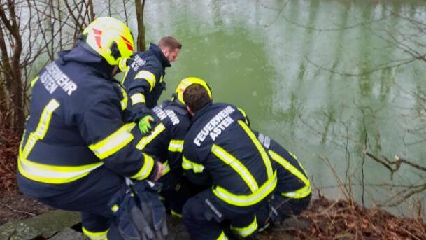Feuerwehr rettete ältere Frau aus dem Ipfbach