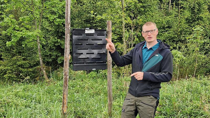 "So früh wie in diesem Jahr ist der Borkenkäfer noch nie dran gewesen"