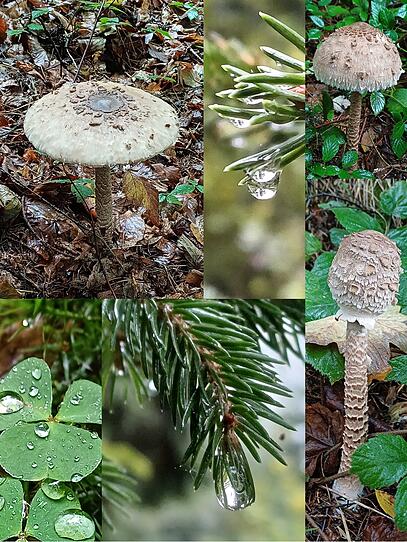 Die schönsten Herbst-Fotos der OÖN-Leser