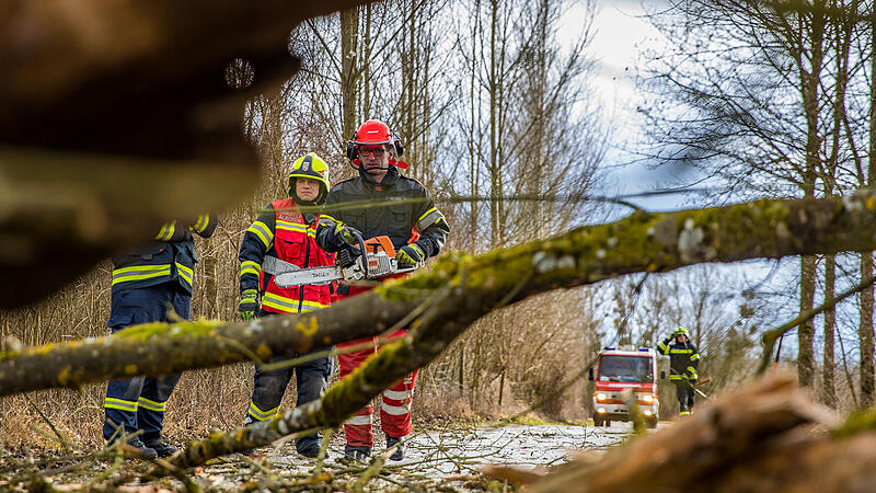 Sturmschaden Baum