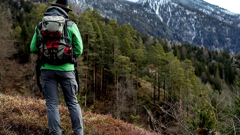 Wechsel an Spitze des Nationalparks Kalkalpen steht an