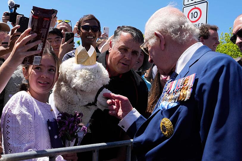 Australien-Besuch: Sogar ein Alpaka grüßt König Charles und Camilla