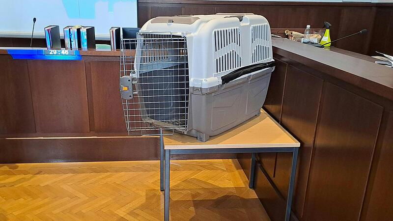 Bub in Hundebox gesperrt: Behörde ermittelt gegen zwei Sozialarbeiter