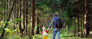 Auf dem Zwergerlweg mehr über Klima und Wald lernen