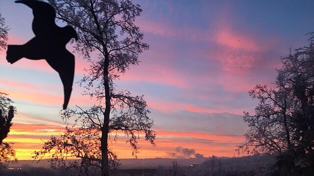 Leserfoto Morgenstimmung Eferdinger Landl