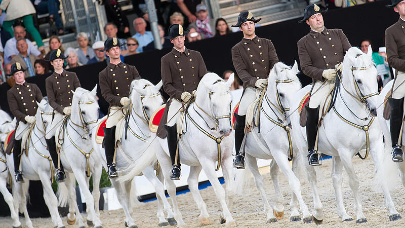 Lipizzaner-Streit endlich beigelegt