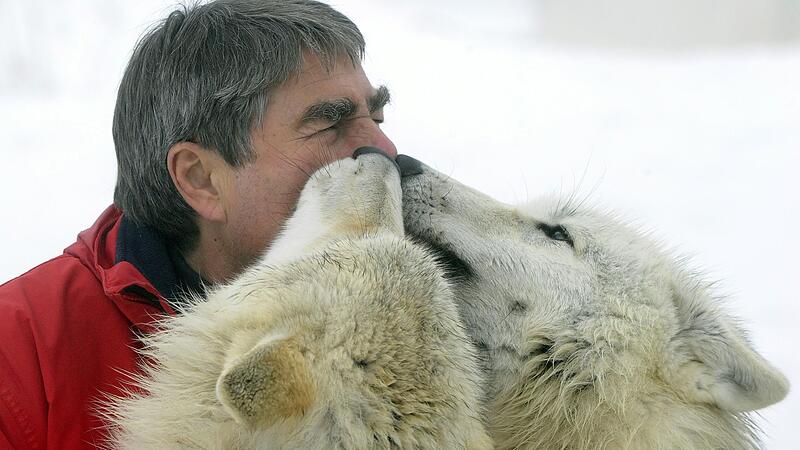 Wolfsforscher Kotrschal: "Wir werden lernen müssen, mit dem Wolf zu leben"
