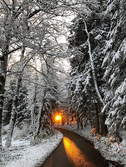 Die Schneefotos der OÖN-Leser