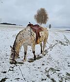 Erwin Edermayer macht Jausenpause nach kurzem Austritt im heurigen Winter.