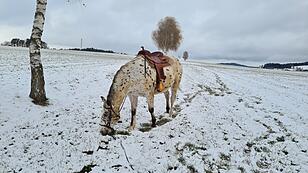 Erwin Edermayer macht Jausenpause nach kurzem Austritt im heurigen Winter.