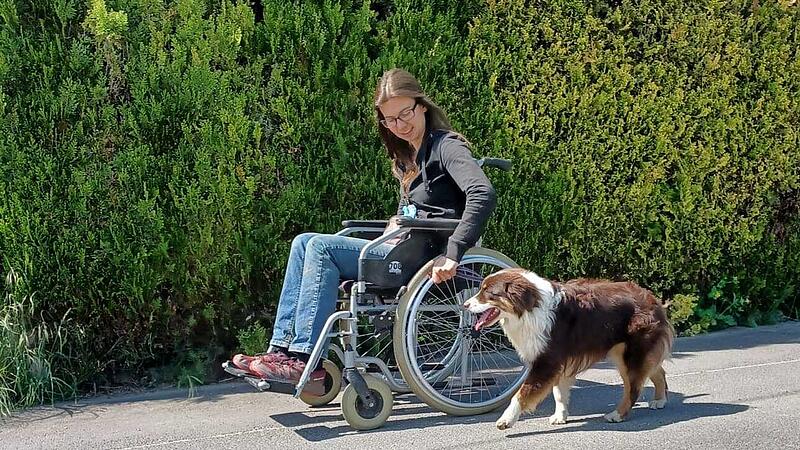 Bereit für besondere Aufgaben: "Jeannie ist der ideale Hund für Rollstuhlfahrer"