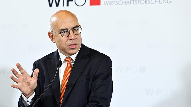 Wifo-Direktor Gabriel Felbermayr