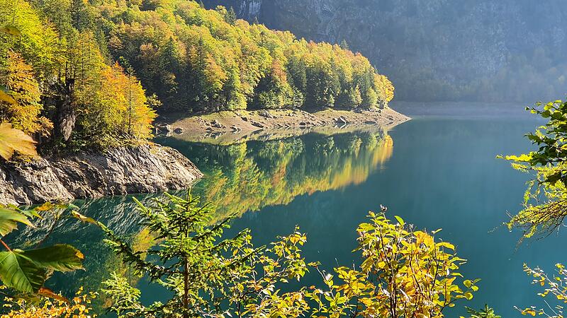 Die schönsten Waldfotos unser Leserinnen und Leser