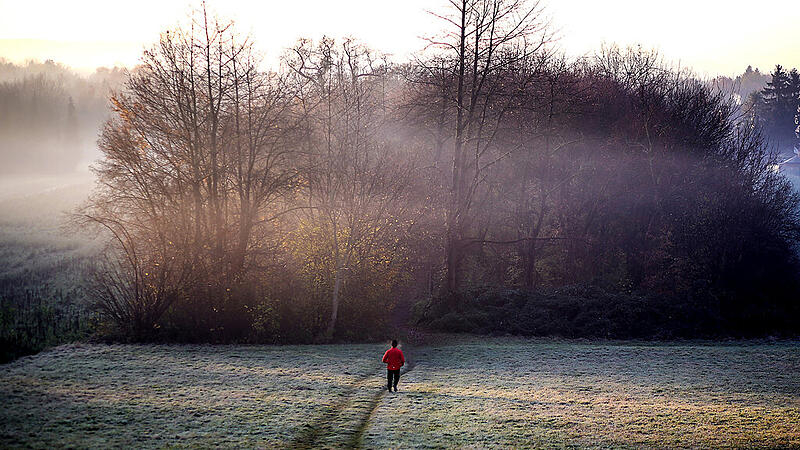 Herbst frost Nebel