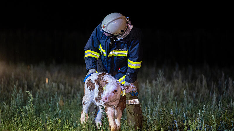 Blitzeinschlag auf dem Heuboden: Großbrand in Kefermarkt