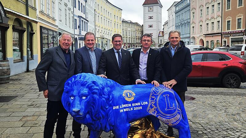 Löwen brüllen in Welser Innenstadt für guten Zweck